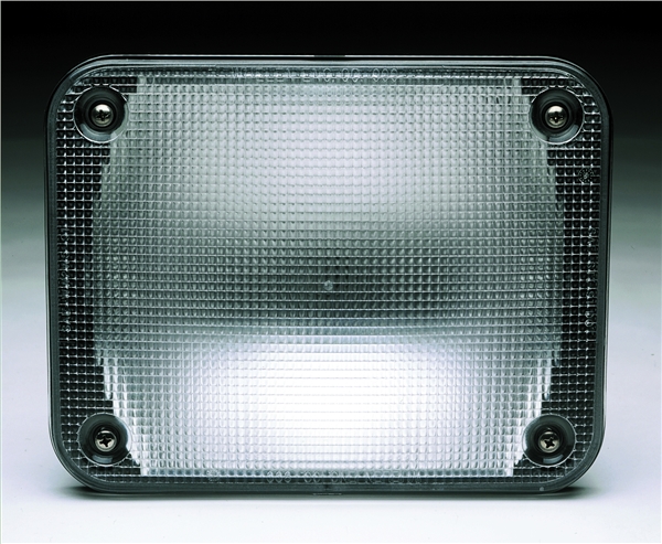 Whelen 900 Series Halogen Scene Light
